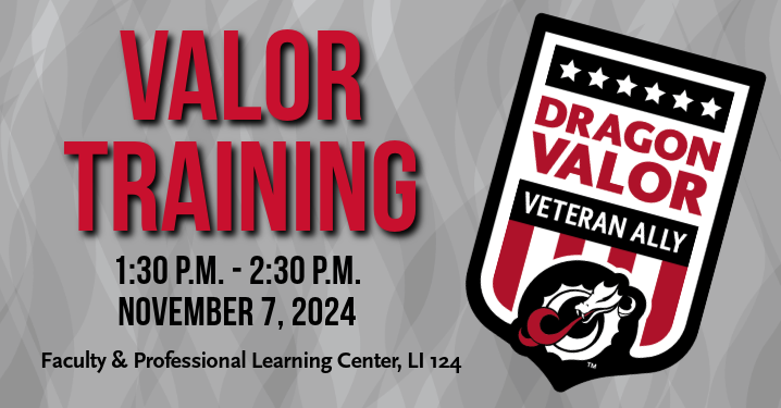 VALOR Training