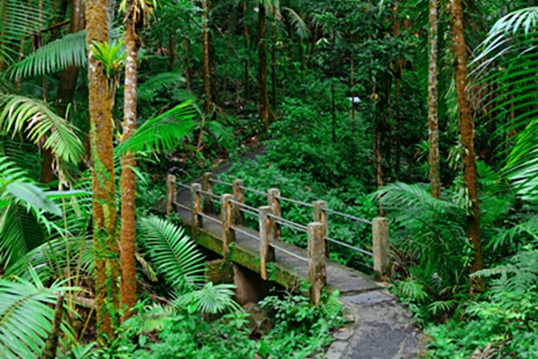 Study tropical conservation biology in Costa Rica