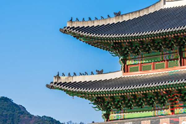 Experience business in South Korea and Japan