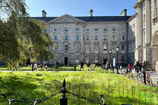 Experience education in Ireland