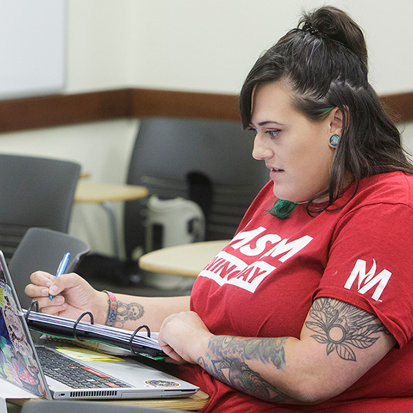 Online Social Work